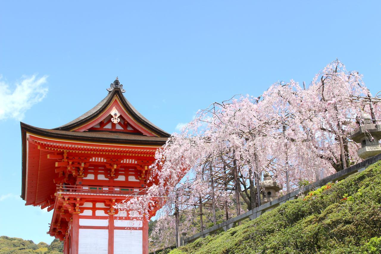 Stay Sakura Kyoto Shijo Karasuma Exteriör bild